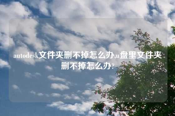 autodesk文件夹删不掉怎么办,u盘里文件夹删不掉怎么办?