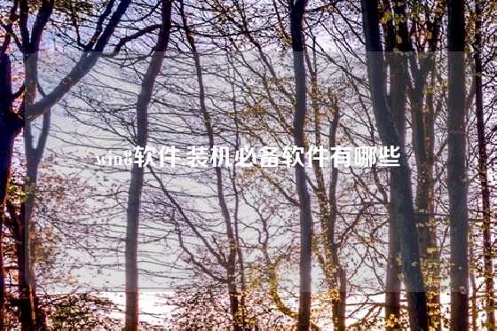 win8软件,装机必备软件有哪些