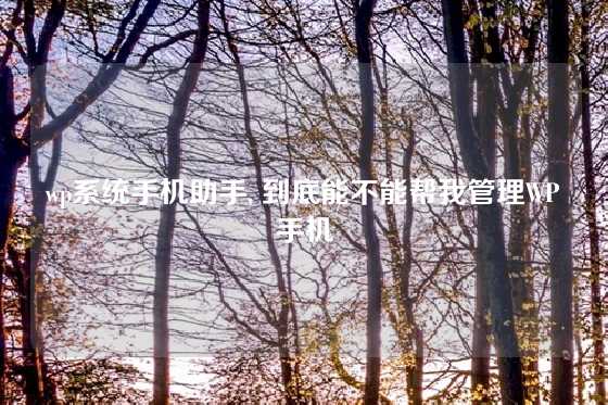 wp系统手机助手, 到底能不能帮我管理WP手机