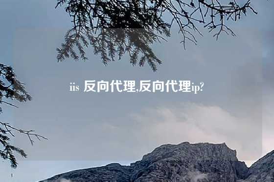iis 反向代理,反向代理ip?