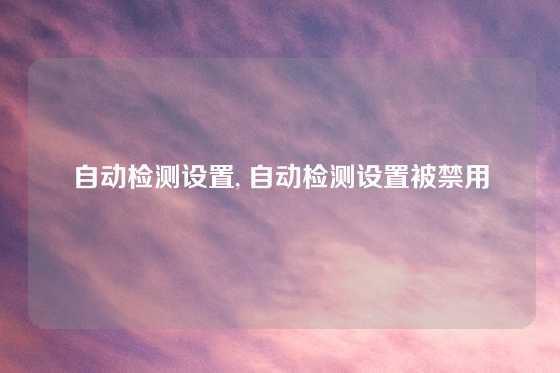 自动检测设置, 自动检测设置被禁用