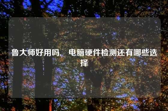 鲁大师好用吗,   电脑硬件检测还有哪些选择