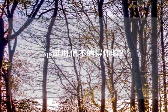 vps试用,值不值得体验？