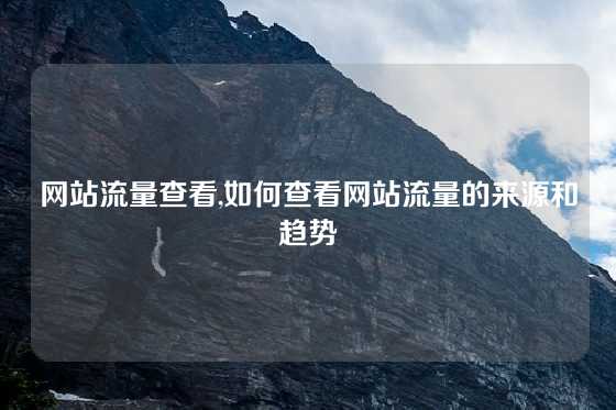 网站流量查看,如何查看网站流量的来源和趋势