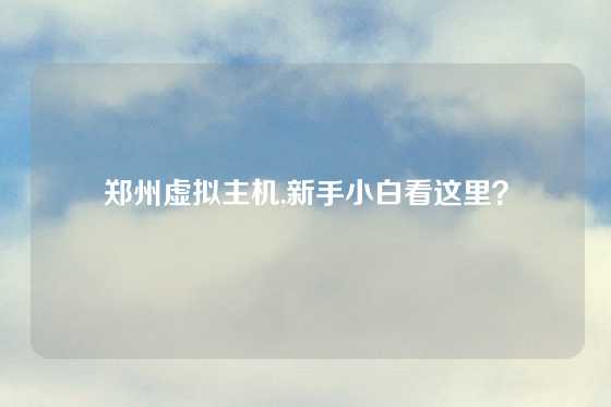 郑州虚拟主机,新手小白看这里？
