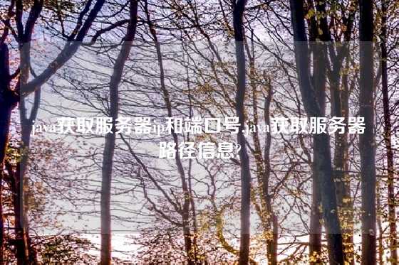 java获取服务器ip和端口号,java获取服务器路径信息?