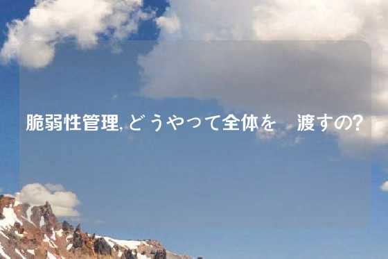 脆弱性管理, どうやって全体を見渡すの？