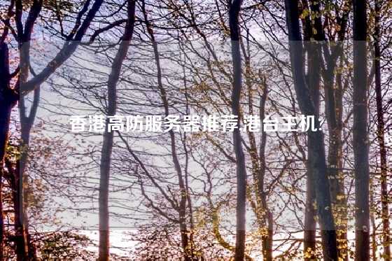 香港高防服务器推荐,港台主机?