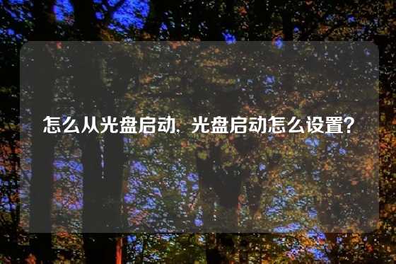 怎么从光盘启动,  光盘启动怎么设置？