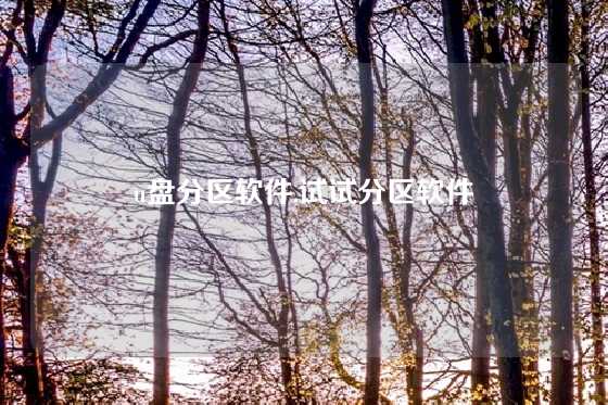u盘分区软件,试试分区软件