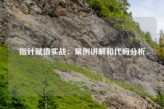 指针赋值实战：案例讲解和代码分析