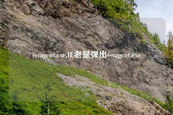 ssvagent.exe,IE老是弹出ssvagent.exe