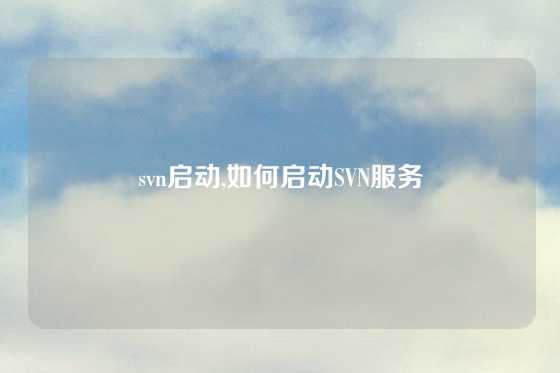 svn启动,如何启动SVN服务
