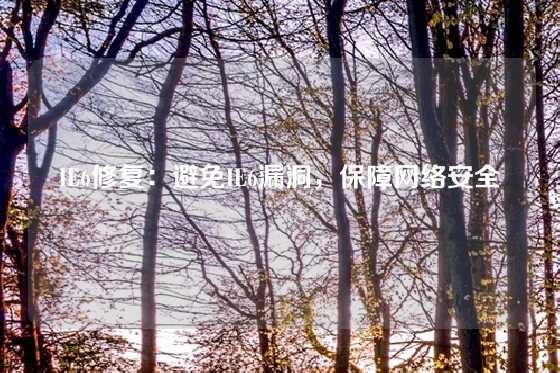 IE6修复：避免IE6漏洞，保障网络安全