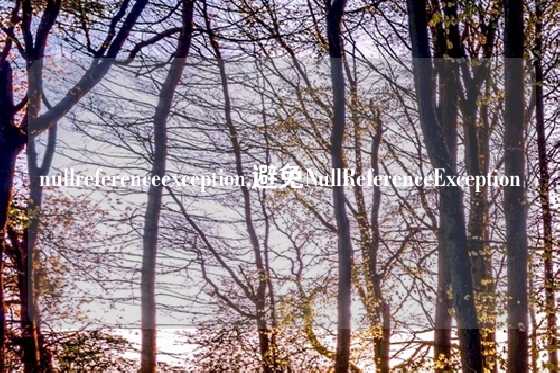 nullreferenceexception,避免NullReferenceException