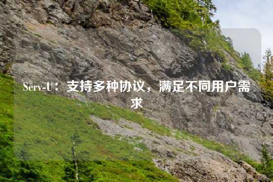Serv-U：支持多种协议，满足不同用户需求
