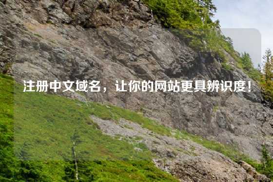 注册中文域名，让你的网站更具辨识度！