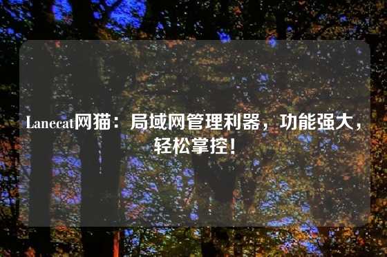 Lanecat网猫：局域网管理利器，功能强大，轻松掌控！