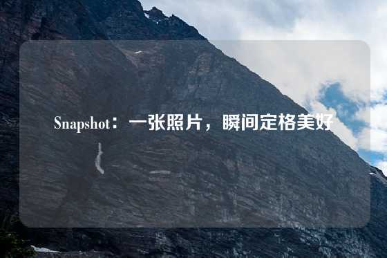 Snapshot：一张照片，瞬间定格美好