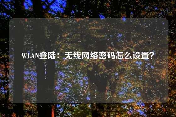 WLAN登陆：无线网络密码怎么设置？