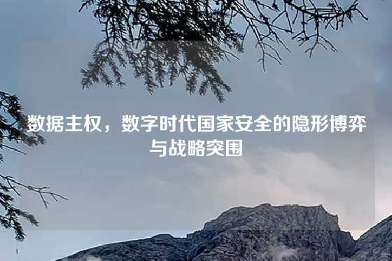 数据主权，数字时代国家安全的隐形博弈与战略突围