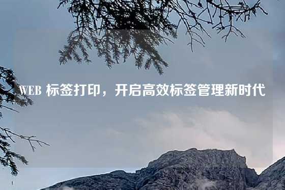 WEB 标签打印，开启高效标签管理新时代