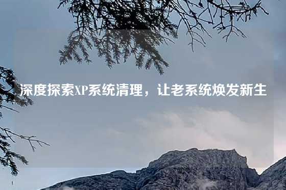 深度探索XP系统清理，让老系统焕发新生