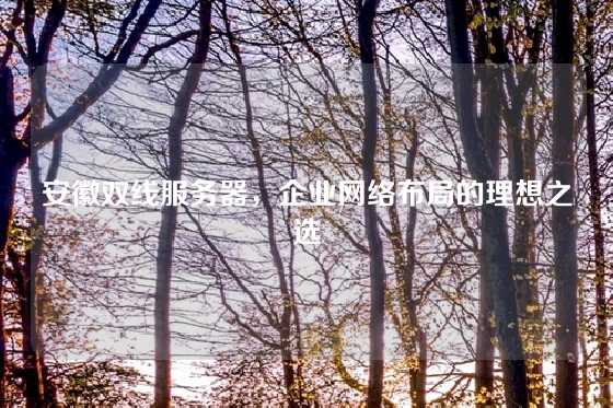 安徽双线服务器，企业网络布局的理想之选