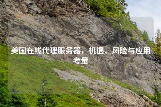 美国在线代理服务器，机遇、风险与应用考量