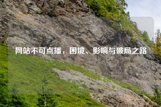 网站不可点播，困境、影响与破局之路