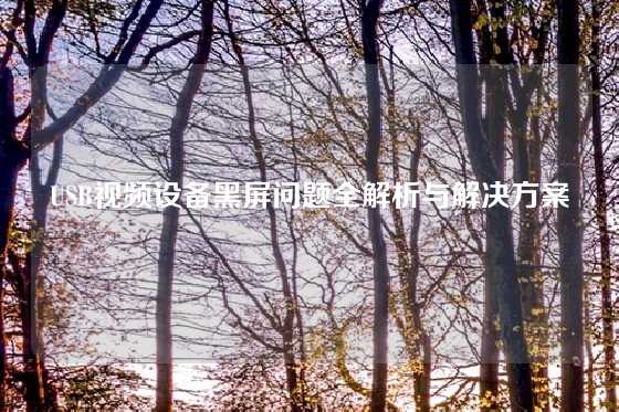 USB视频设备黑屏问题全解析与解决方案
