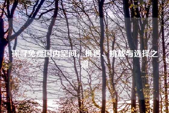 探寻免费国内空间，机遇、挑战与选择之道