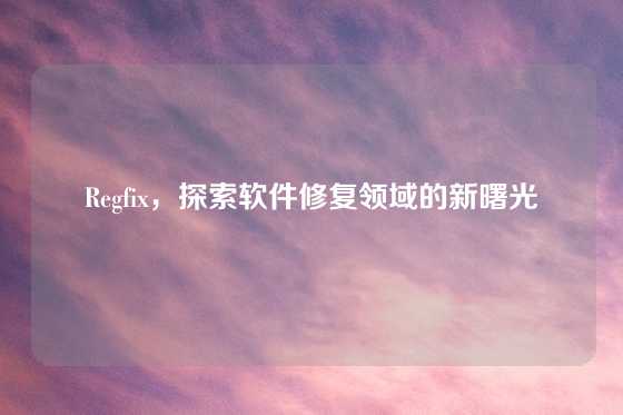 Regfix，探索软件修复领域的新曙光