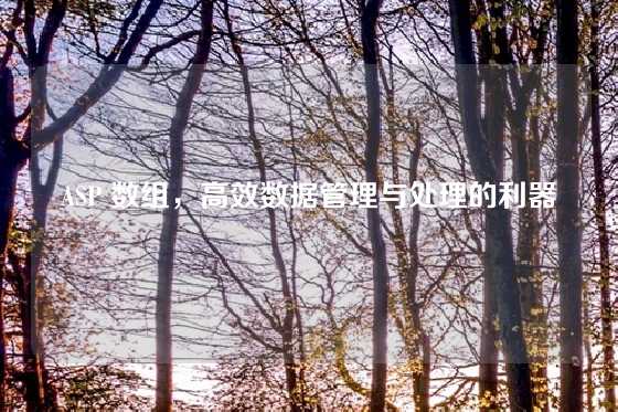 ASP 数组，高效数据管理与处理的利器