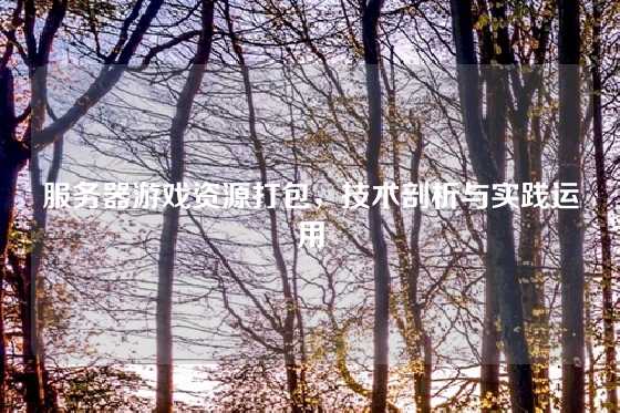服务器游戏资源打包，技术剖析与实践运用