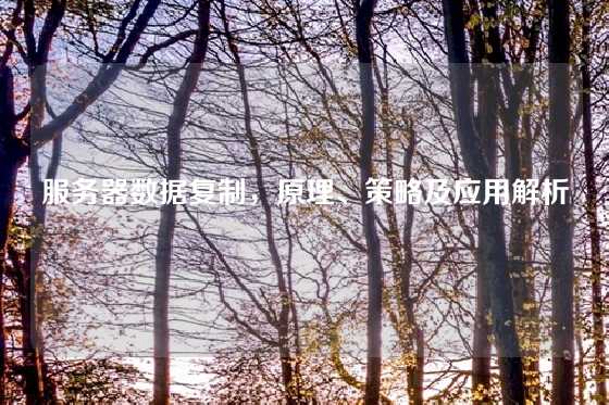 服务器数据复制，原理、策略及应用解析