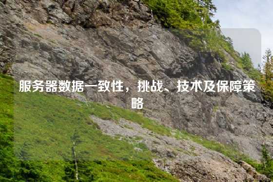 服务器数据一致性，挑战、技术及保障策略
