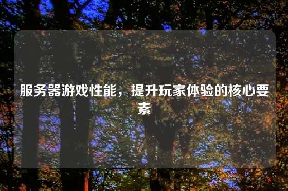 服务器游戏性能，提升玩家体验的核心要素