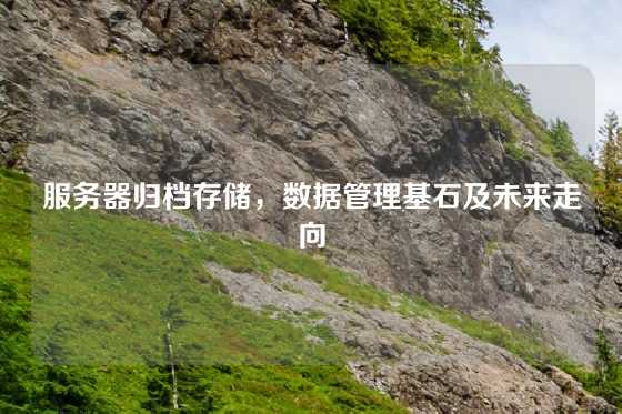 服务器归档存储，数据管理基石及未来走向