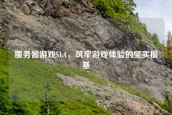 服务器游戏SLA，筑牢游戏体验的坚实根基