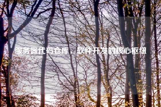 服务器代码仓库，软件开发的核心枢纽