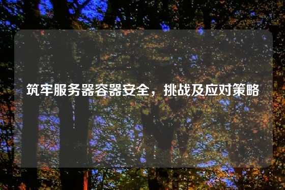 筑牢服务器容器安全，挑战及应对策略