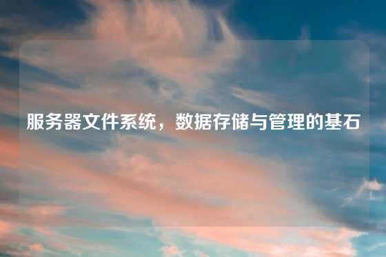 服务器文件系统，数据存储与管理的基石