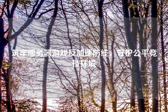 筑牢服务器游戏反加速防线，守护公平竞技环境