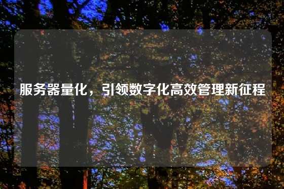 服务器量化，引领数字化高效管理新征程