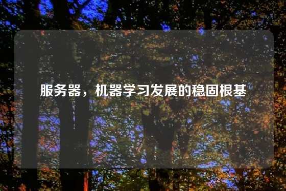 服务器，机器学习发展的稳固根基