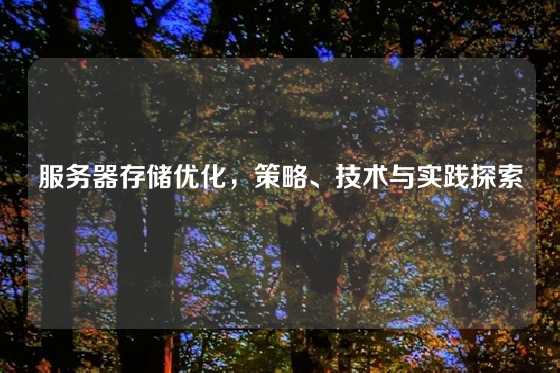 服务器存储优化，策略、技术与实践探索