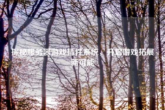 探秘服务器游戏插件系统，开启游戏拓展新可能