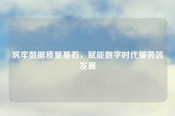 筑牢数据质量基石，赋能数字时代服务器发展