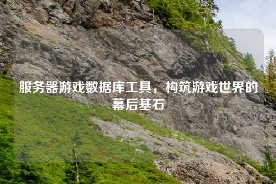 服务器游戏数据库工具，构筑游戏世界的幕后基石
